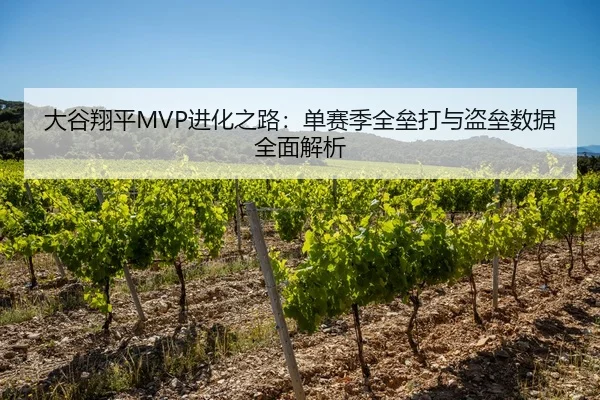 大谷翔平MVP进化之路：单赛季全垒打与盗垒数据全面解析