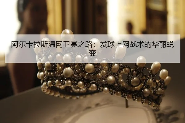 a-er-ka-la-si-wen-wang-wei-mian-zhi-lu-fa-qiu-shang-wang-zhan-shu-de-hua-li-tui-bian-2-866.jpg