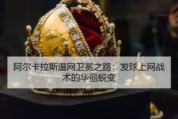 a-er-ka-la-si-wen-wang-wei-mian-zhi-lu-fa-qiu-shang-wang-zhan-shu-de-hua-li-tui-bian-3-594.jpg