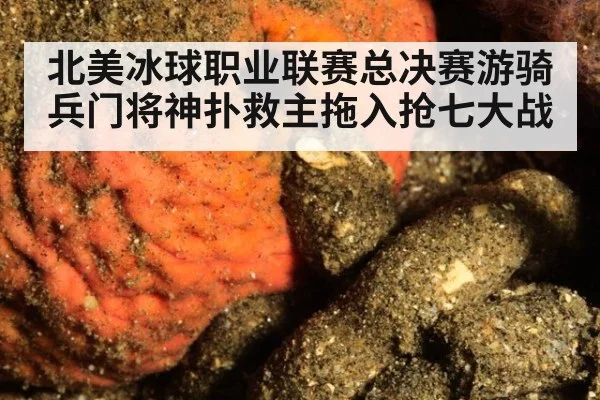 北美冰球职业联赛总决赛游骑兵门将神扑救主拖入抢七大战