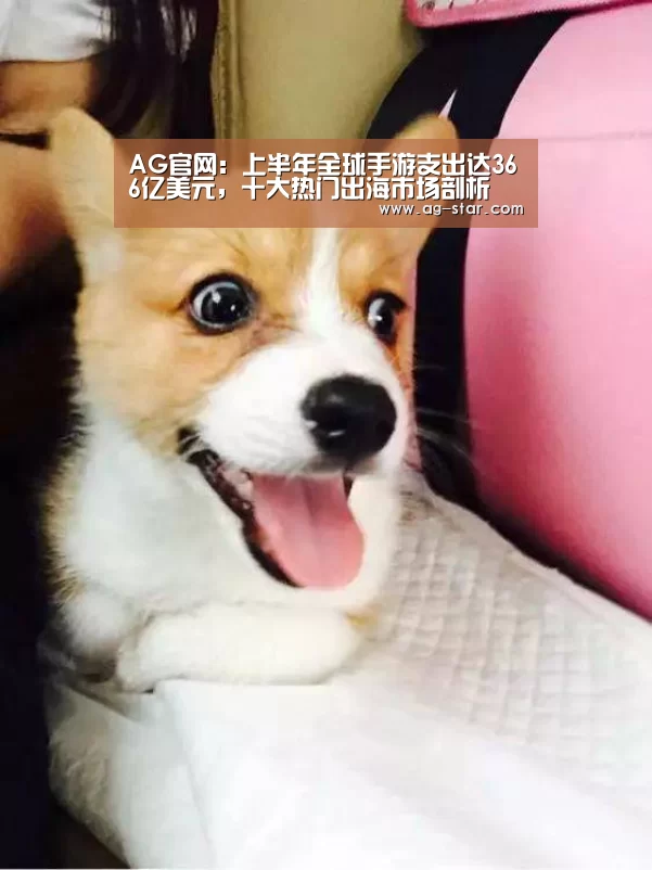 AG娱乐